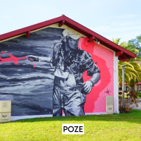 POZE (Yann Chatelin) - MUR #11