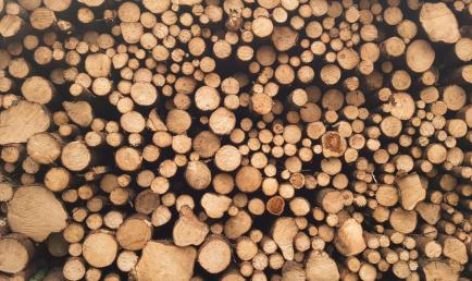 Bois de chauffage